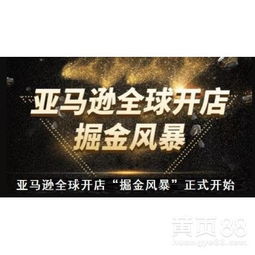 【亚马逊无货源erp系统开发定制亚马逊无货源跨境电商亚马逊培训】-